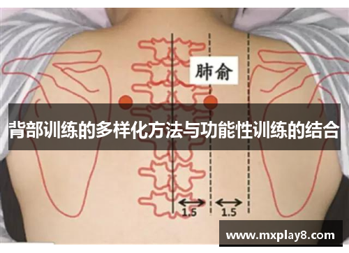 背部训练的多样化方法与功能性训练的结合